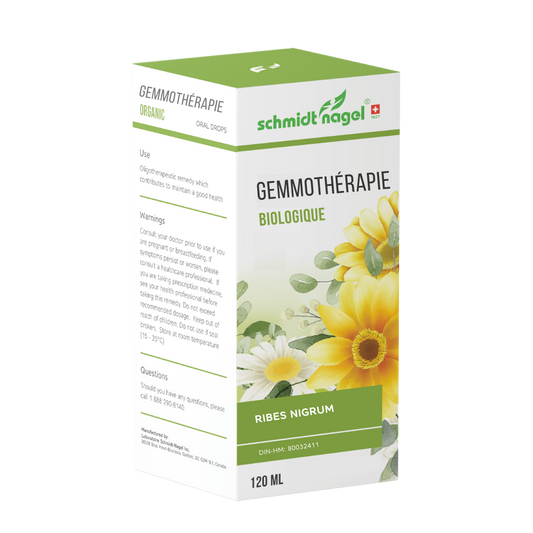 Ribes nigrum