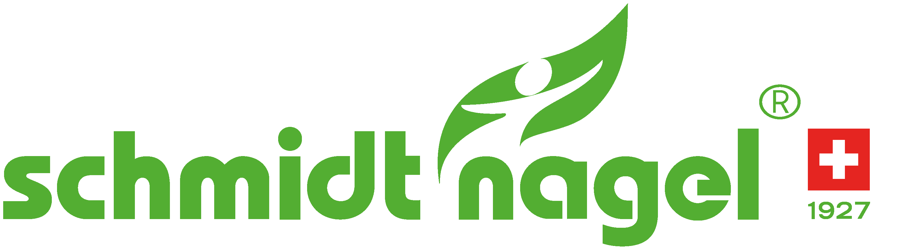 Schmidt-Nagel Logo