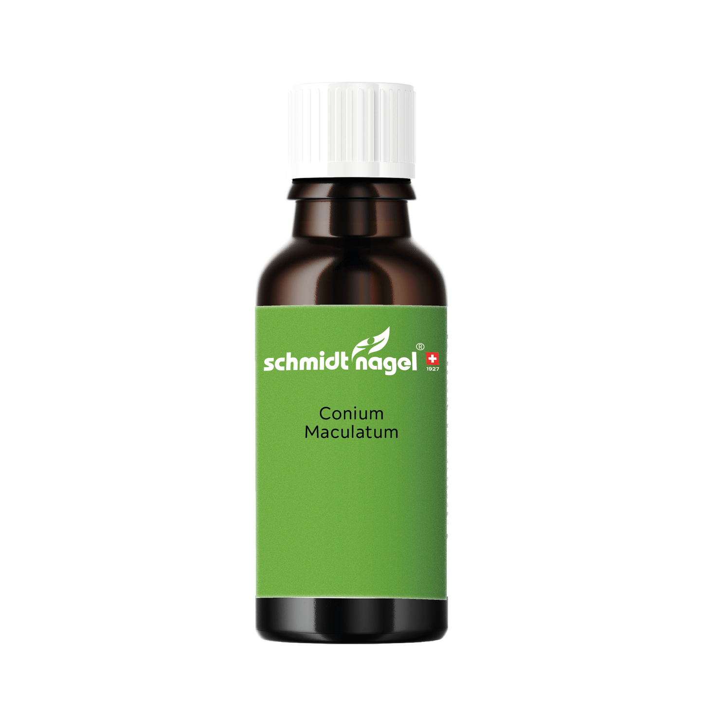 Conium Maculatum