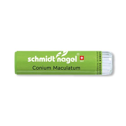 Conium Maculatum