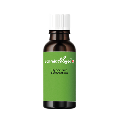 <tc>Hypericum Perforatum</tc>